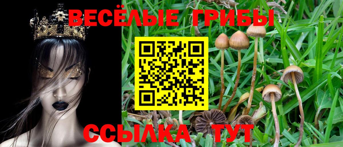 Галлюциногенные грибы прущие грибы Донецк