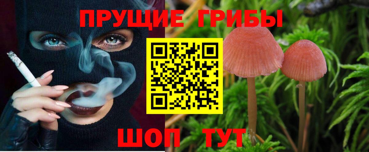 Псилоцибиновые грибы Psilocybine cubensis  Вход с VPN  где купить наркоту  Донецк 
